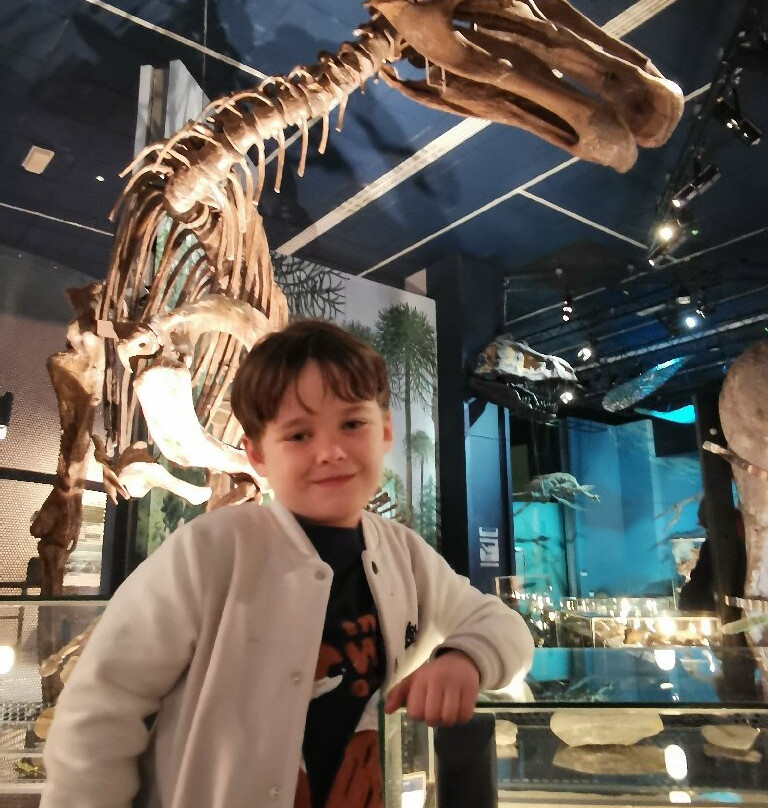 National Museum Cardiff-卡迪夫必去景点