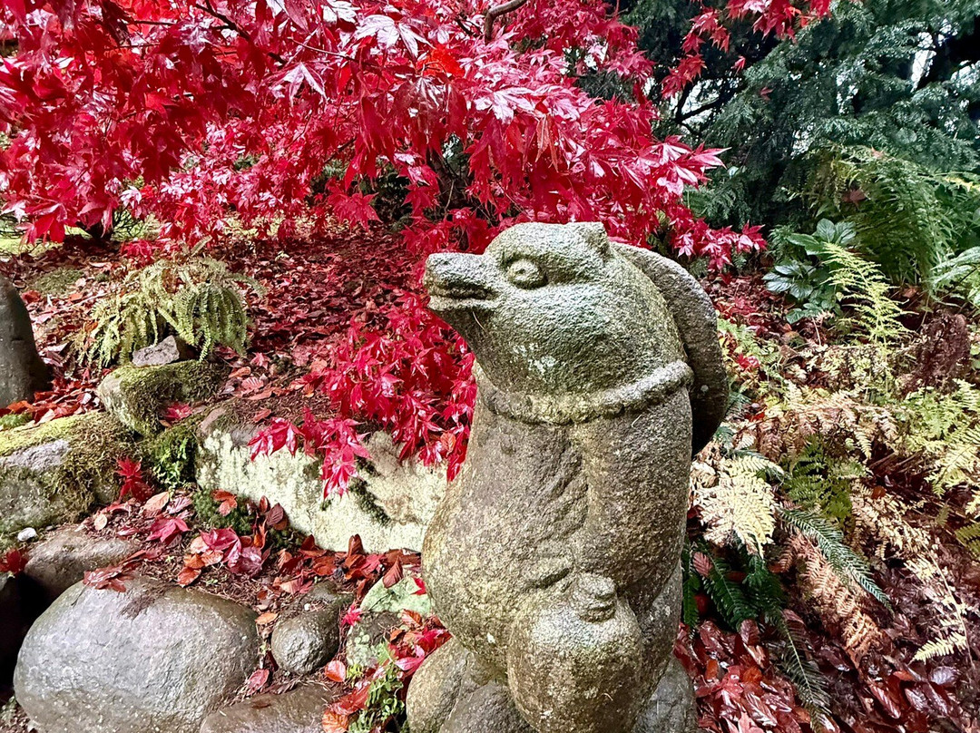 The Japanese Garden At Cowden-Dollar必去景点