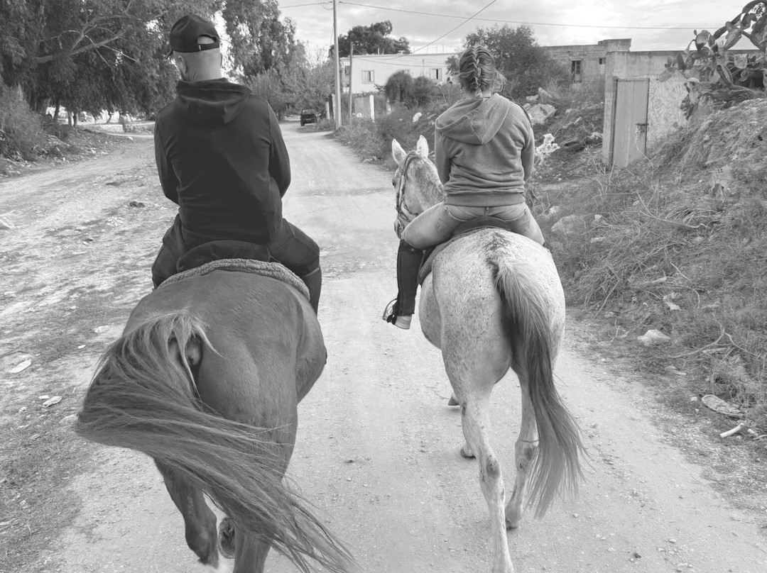 Club Equus Hammamet-哈玛麦德必去景点