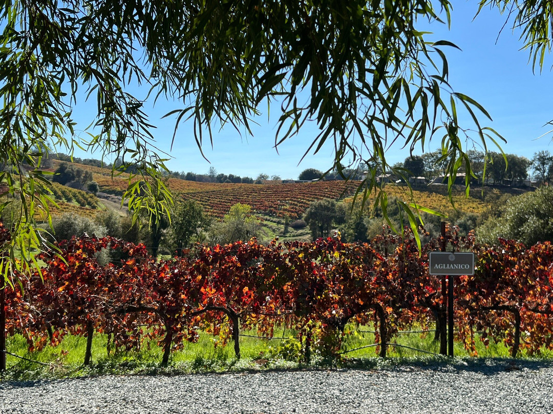 Iron Hub Winery-Plymouth必去景点