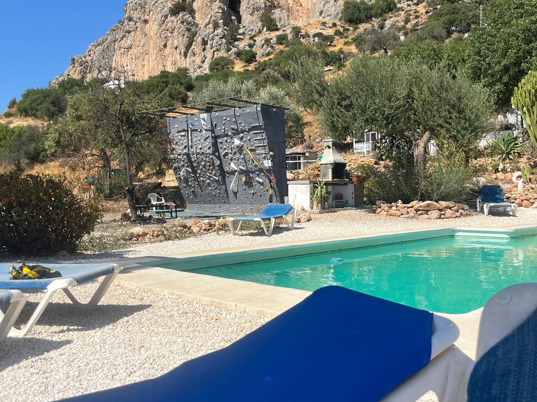 The Olive Branch El Chorro主图