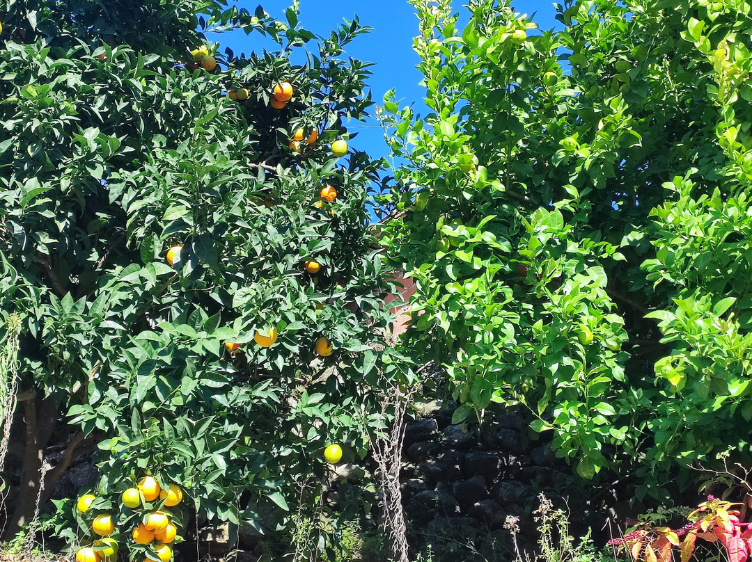 Casa Rural Parada Real主图