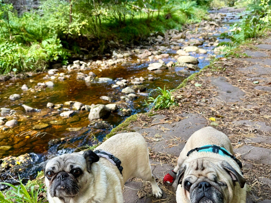 Big Burn Walk-Golspie必去景点