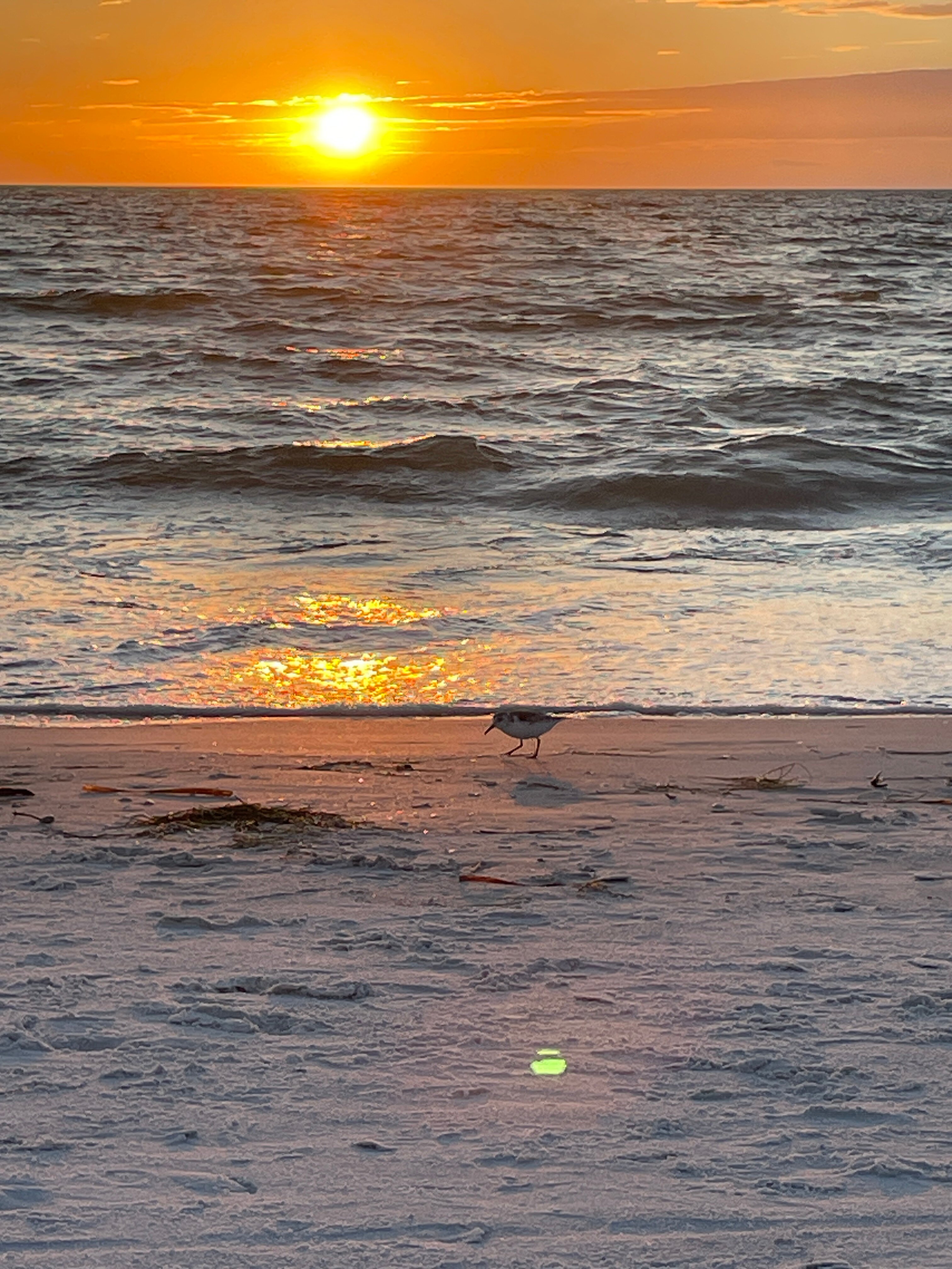 Plaza Beach Hotel - Beachfront Resort-浴室