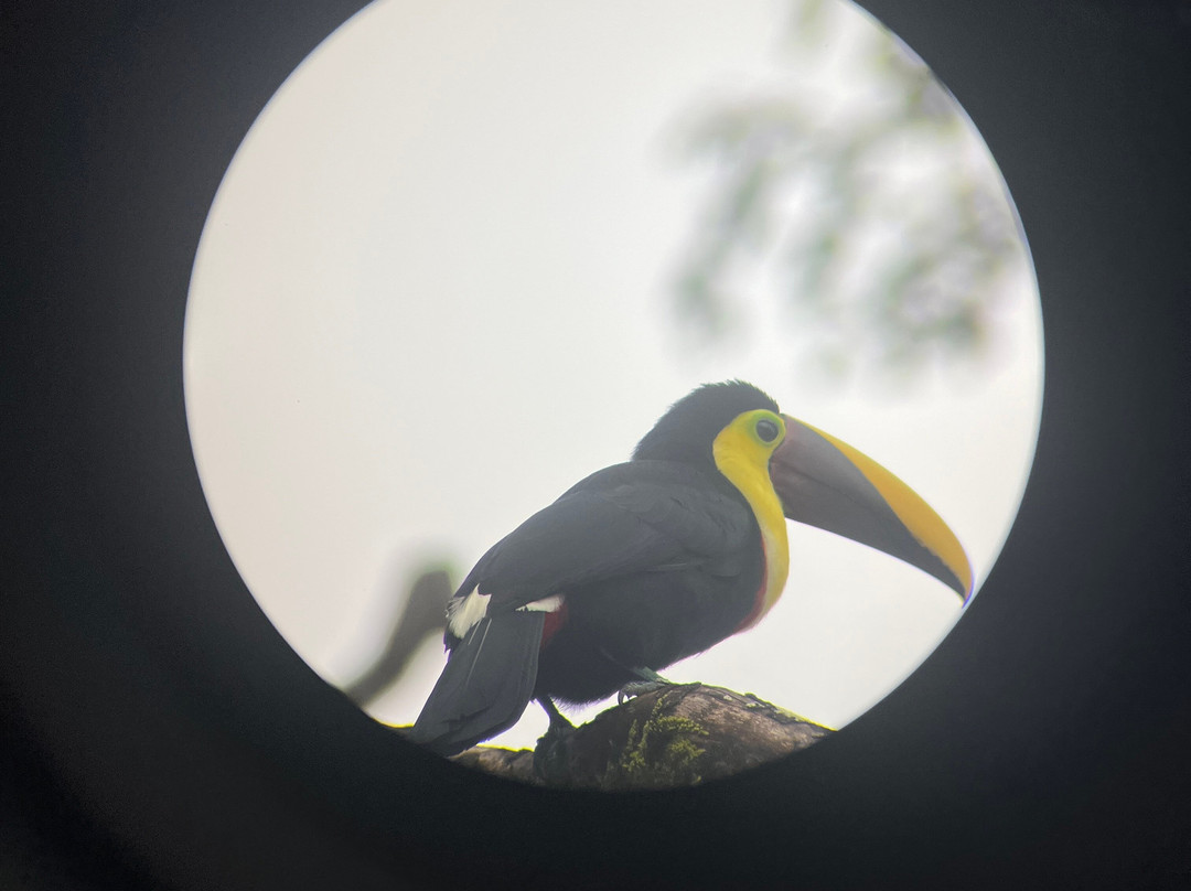 Costa Rica EZ Travel Adventures-Playa Flamingo必去景点