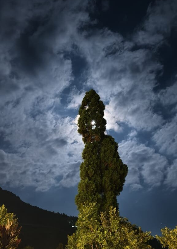 Chamong Chiabari mountain retreat主图