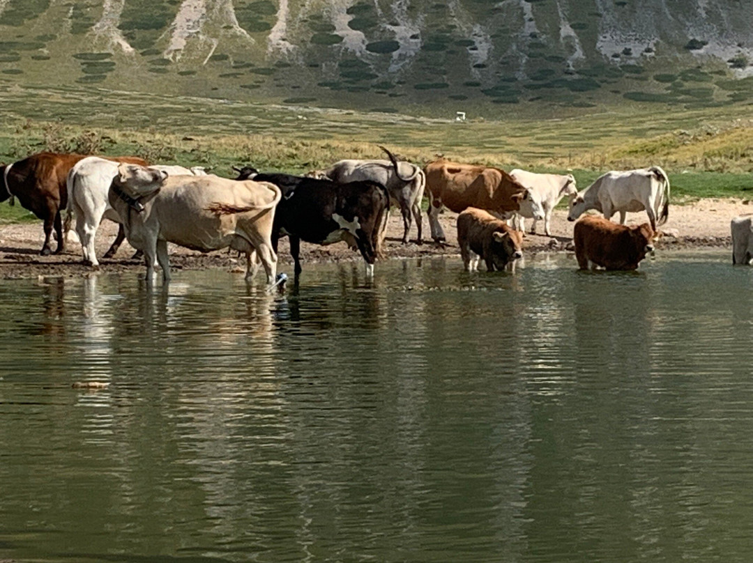 圣斯泰法诺迪塞桑约酒店住宿-Affittacamere Accà Lascio