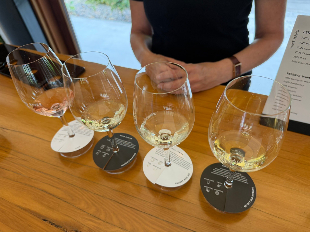 Wairau River Wines Cellar Door-布伦海姆必去景点