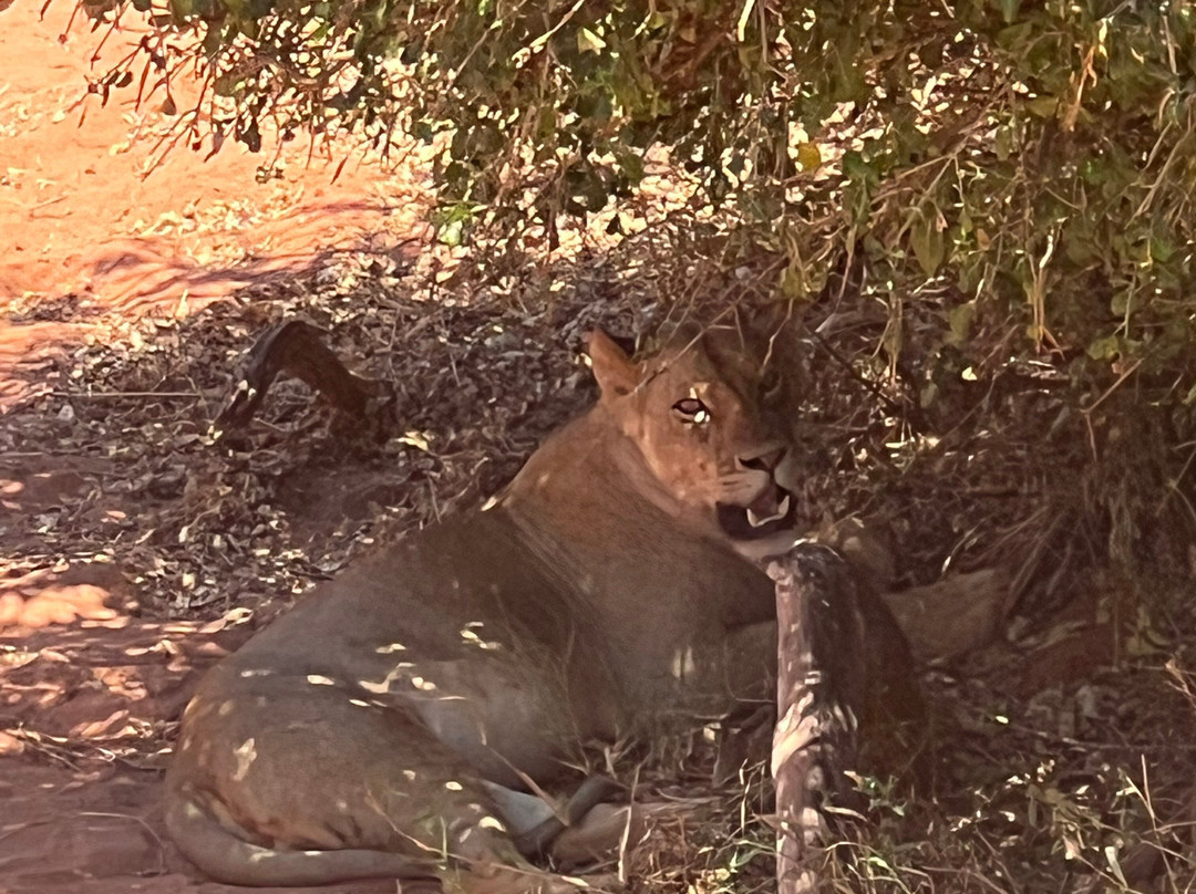 Around Holiday Adventure-查佛必去景点