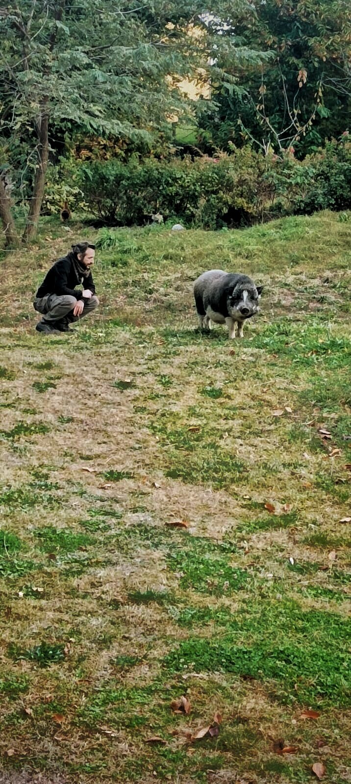 B&B Podere Legnotorto-官方