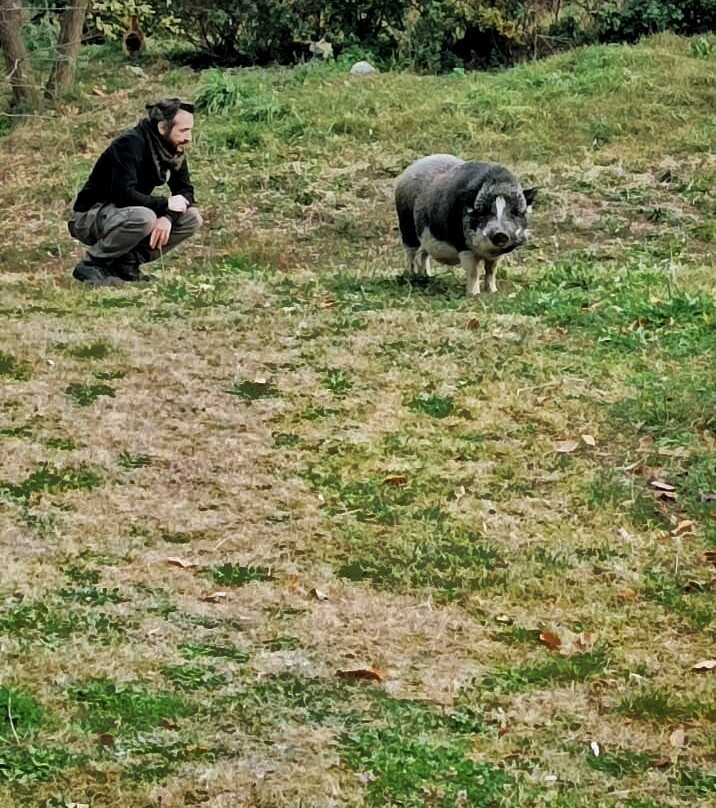 B&B Podere Legnotorto主图