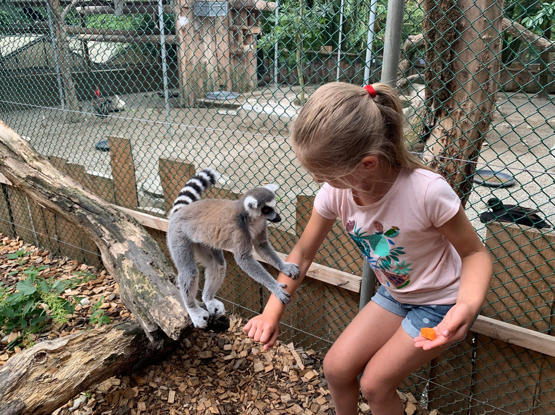Bioparc Genève Pierre Challandes-Bellevue必去景点
