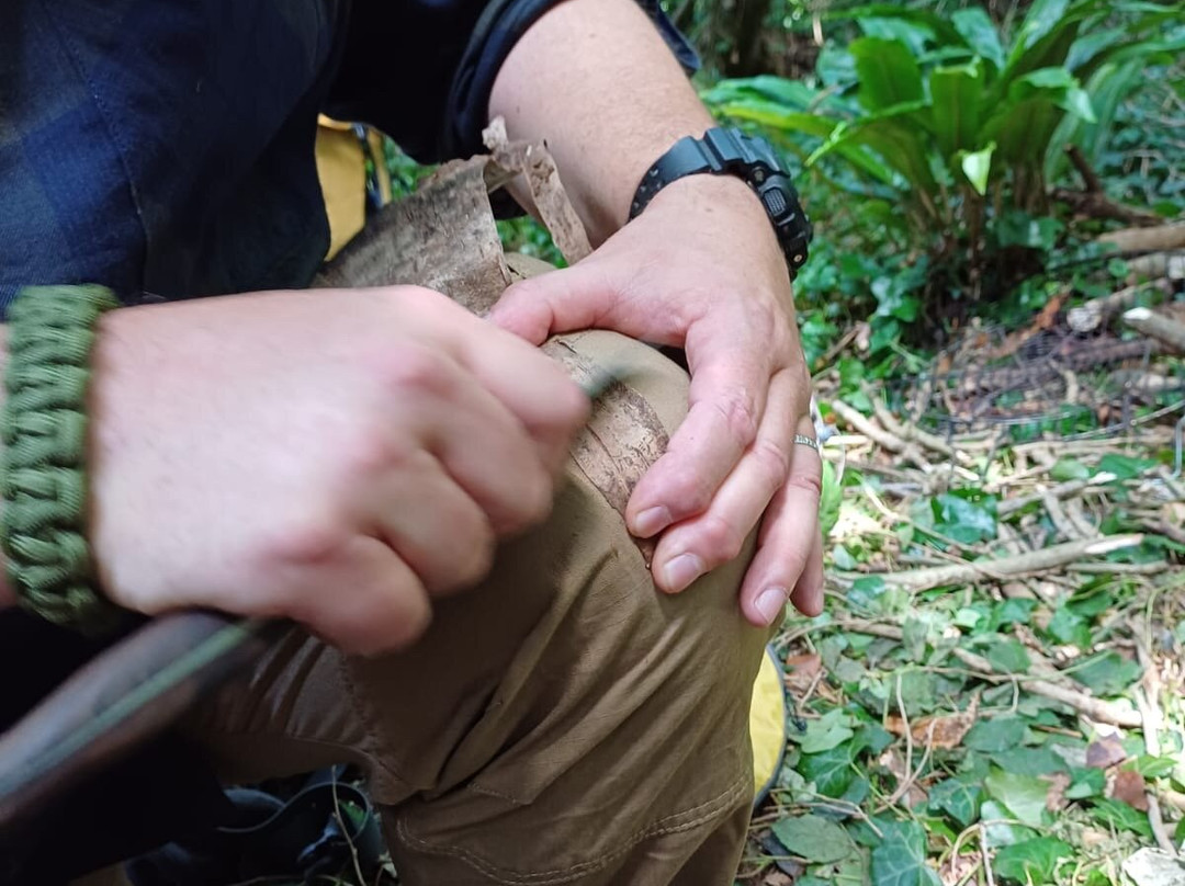 École Vie Nature-Etables-sur-Mer必去景点
