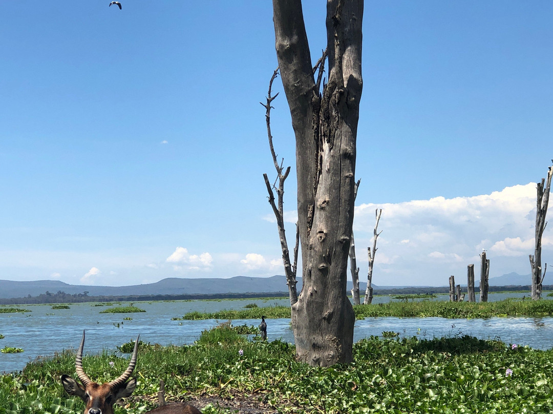 Lake Naivasha-奈瓦夏必去景点
