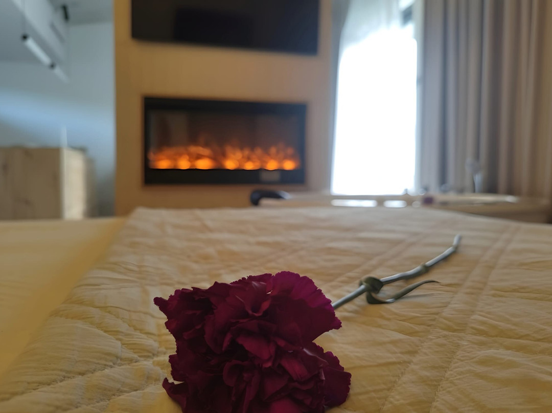 Niditas Suites And Horses