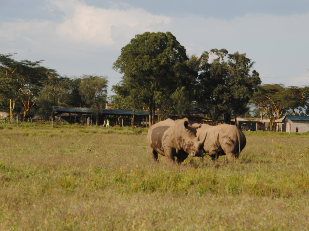 Morningstar Tours and Travel-Syokimau必去景点