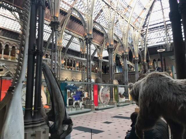 牛津大学自然历史博物馆-牛津必去景点