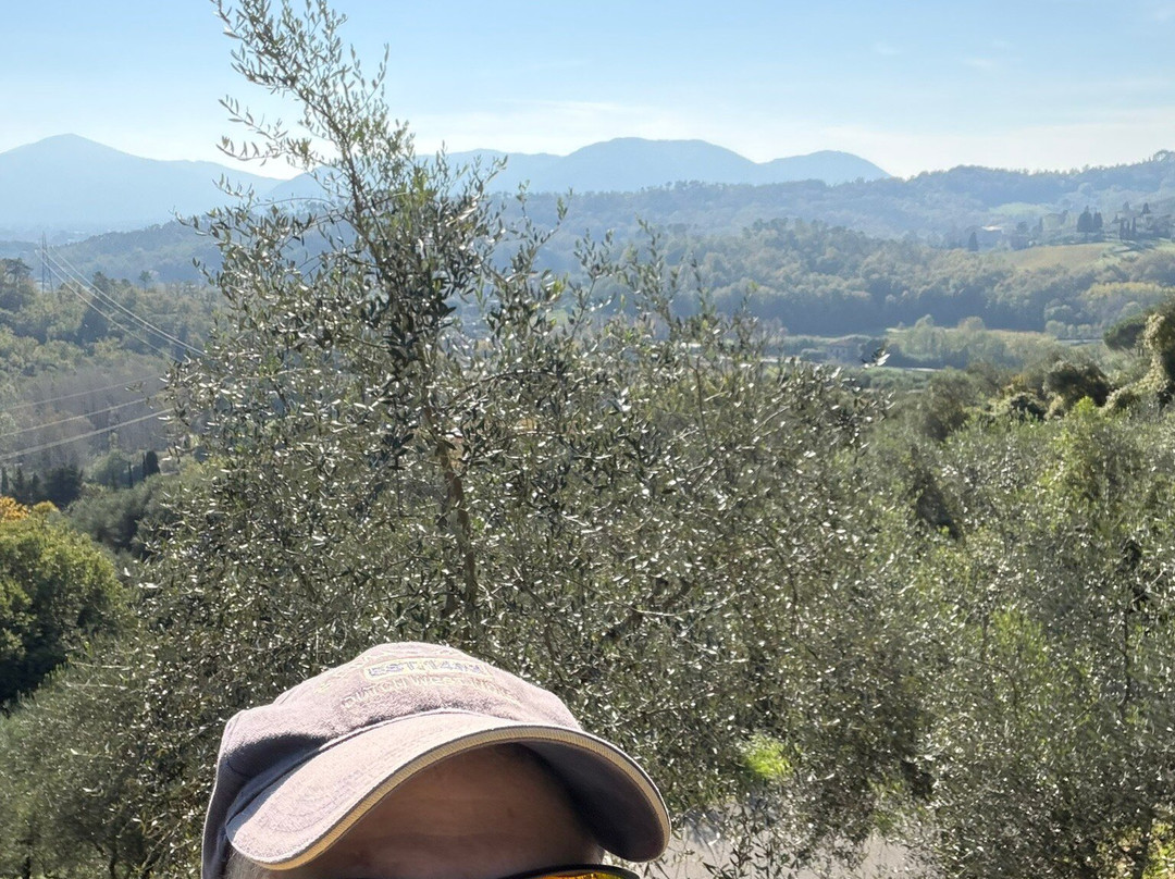 Biciclette Poli-卢卡必去景点