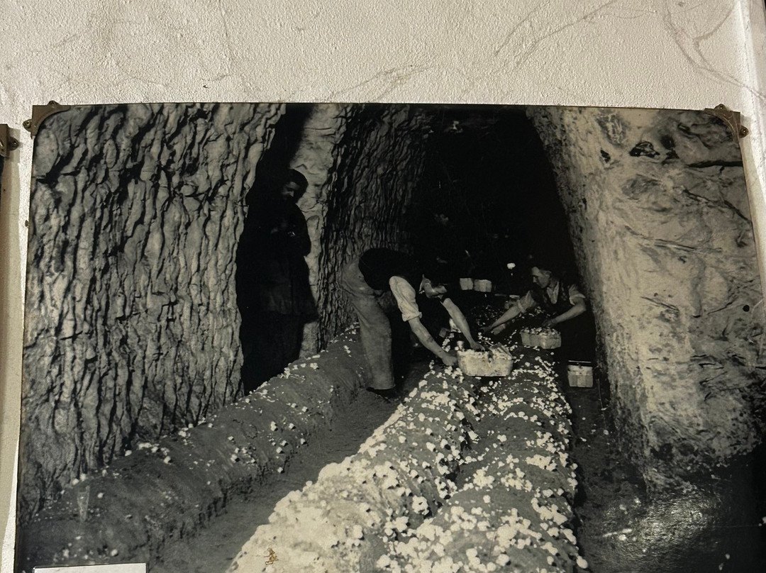 Chislehurst Caves-Chislehurst必去景点