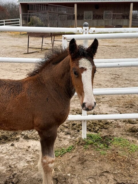Warm Springs Ranch-Boonville必去景点