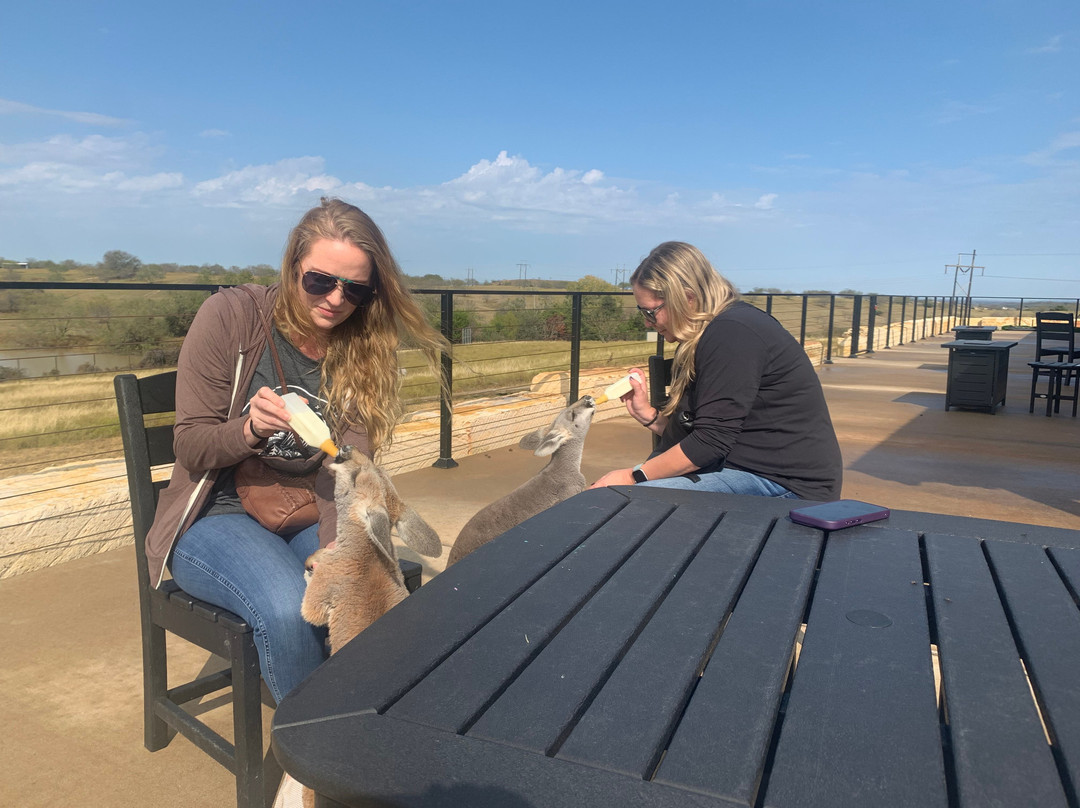 Blue Hills Ranch-McGregor必去景点