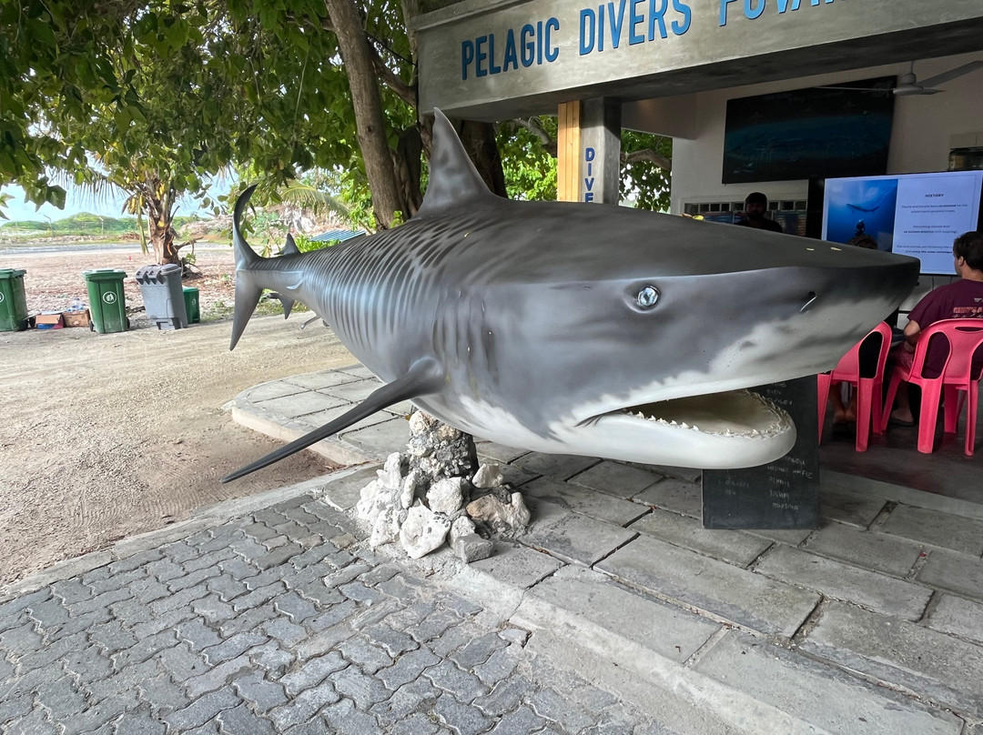Pelagic Divers Fuvahmulah-Fuvahmulah必去景点