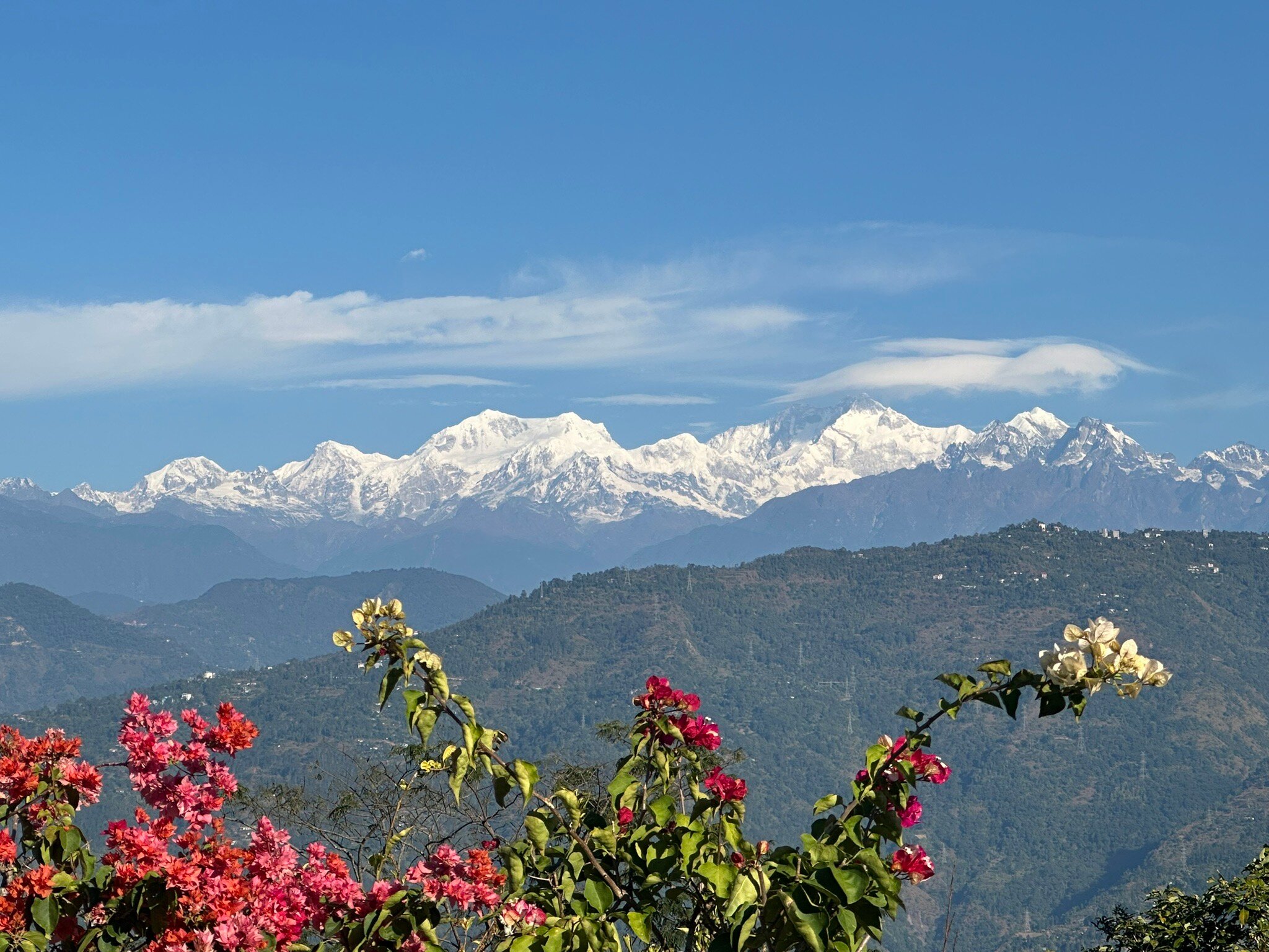 Glenburn Tea Estate-官方