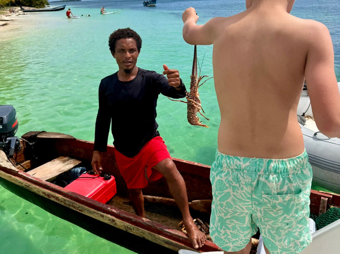 Catamaran Adventures San Blas-埃尔波韦尼尔必去景点