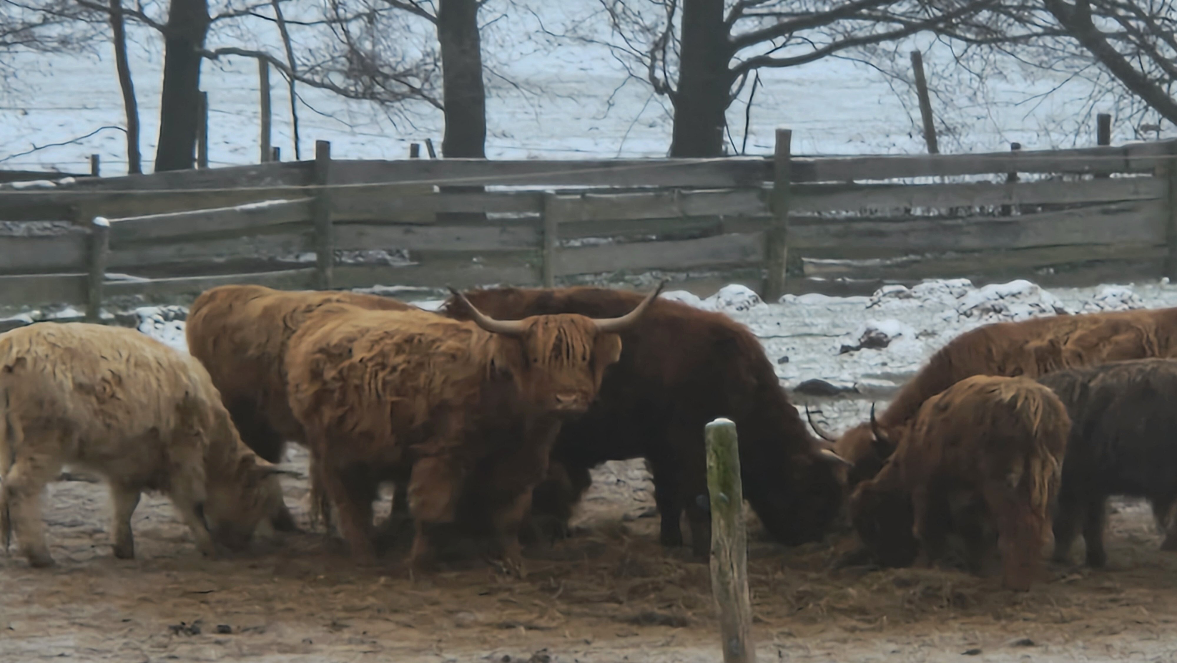 Kleines Vorwerk-官方