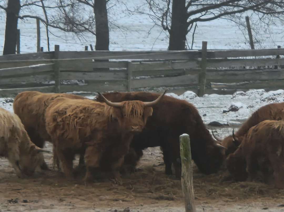 Kleines Vorwerk主图