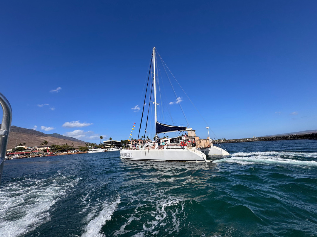 Maui Snorkeling-玛阿拉也亚必去景点