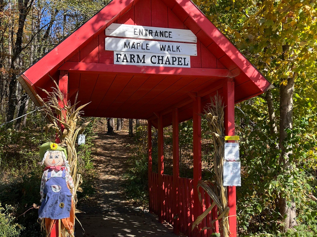 Sugarbush Farm-伍德斯托克必去景点