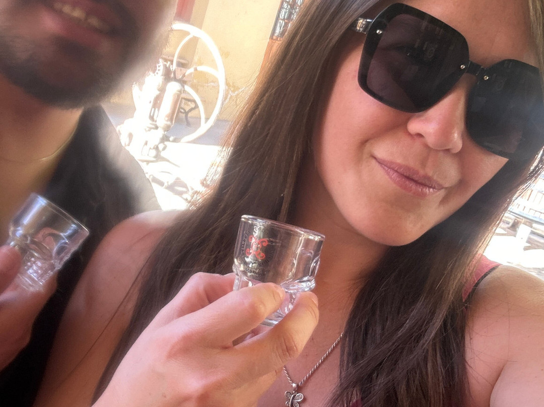 Fundo Los Nichos-Pisco Elqui必去景点