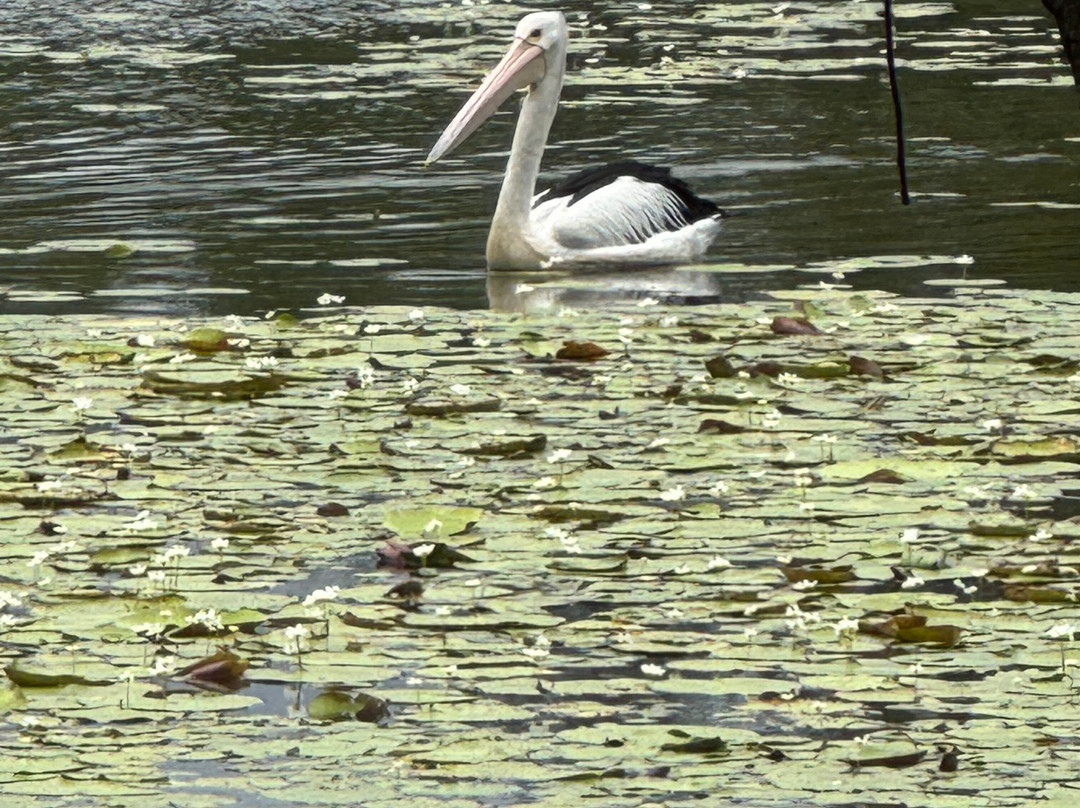 Tygum Lagoon and Park-Waterford West必去景点
