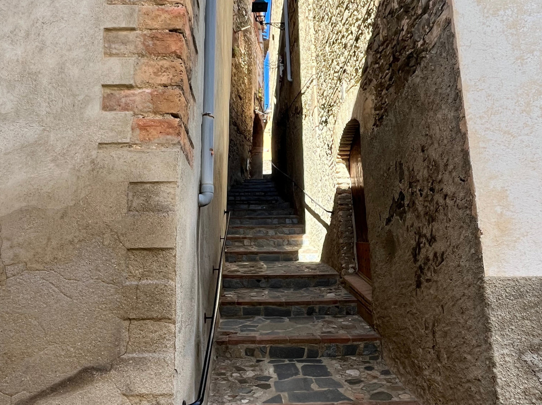 Celler Devinssi-Gratallops必去景点