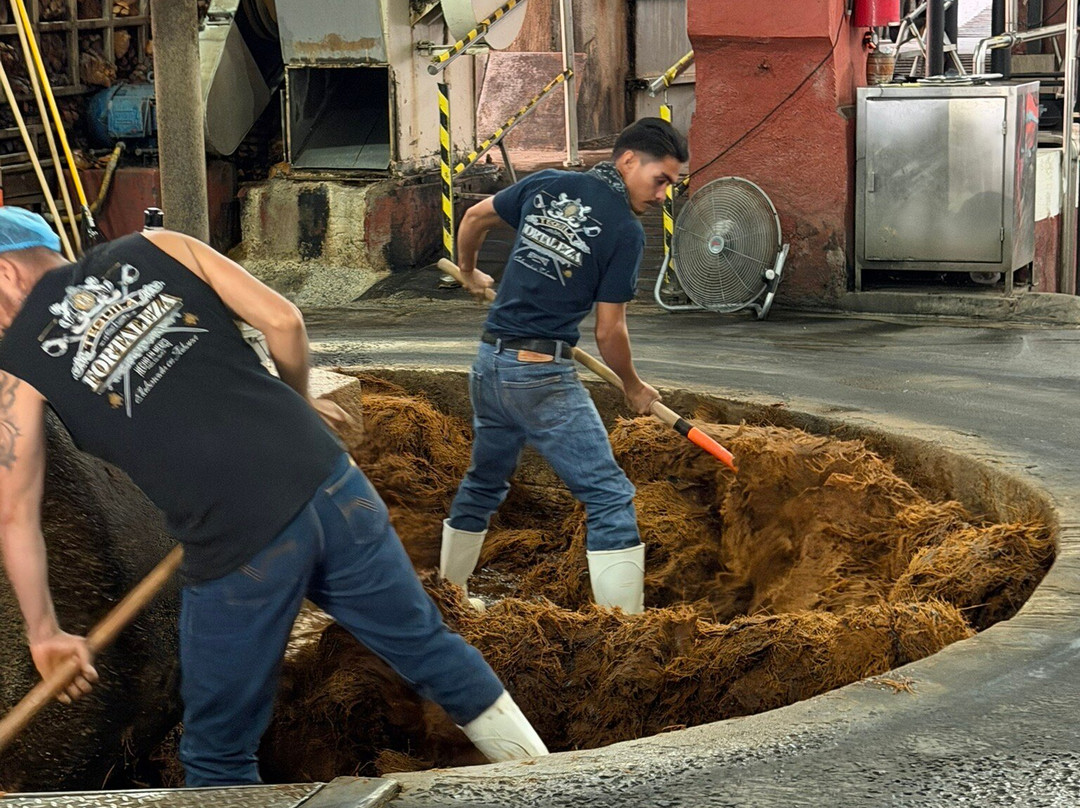 Tequila Fortaleza-特基拉必去景点