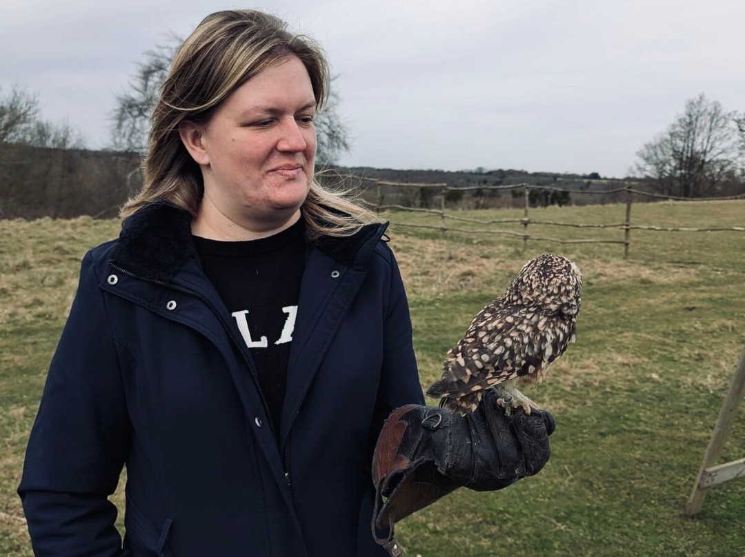 Joe's Bows-Faversham必去景点