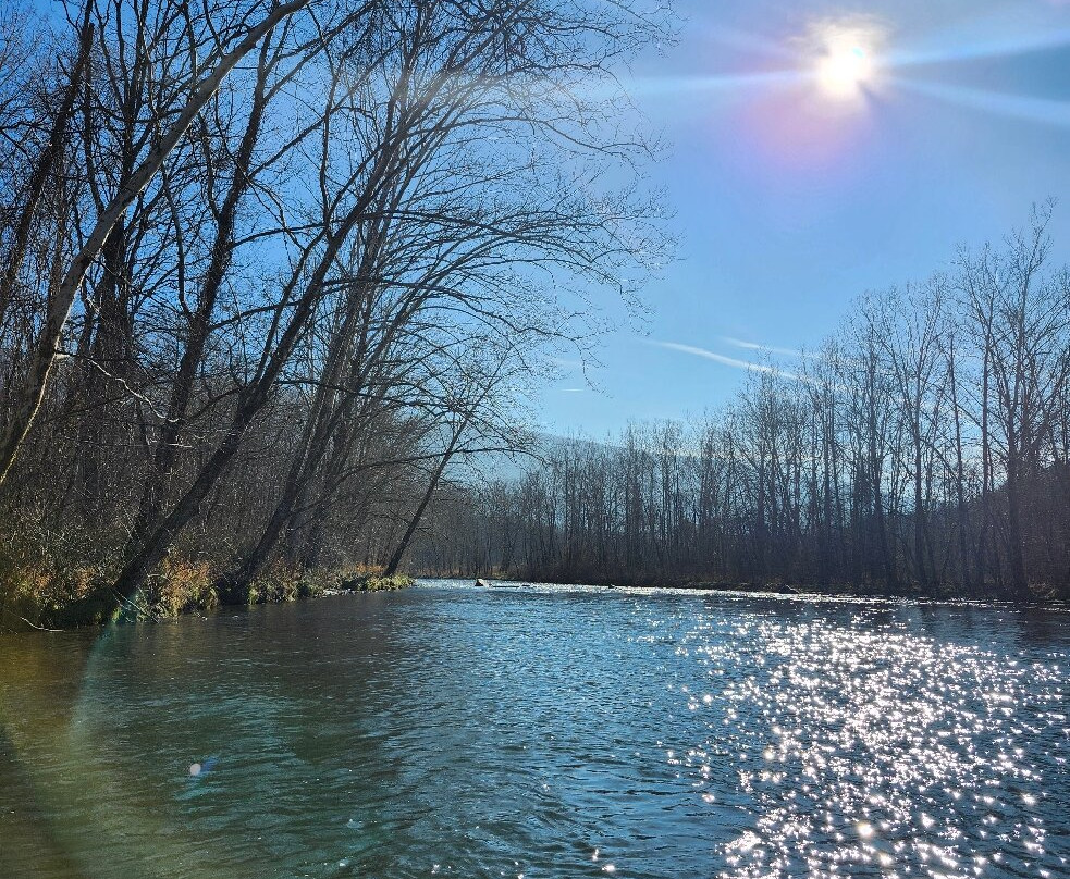 Hampton Inn Covington VA主图