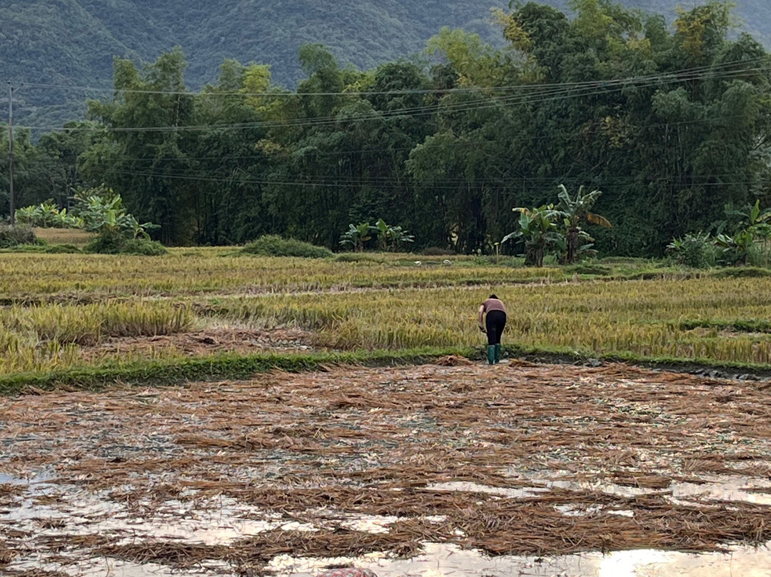 Compagnon Voyage-河内必去景点