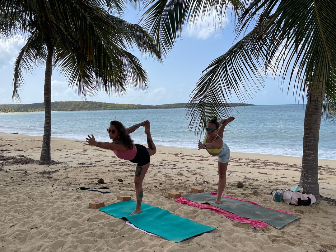 Vieques Wellness and Yoga-Vieques必去景点