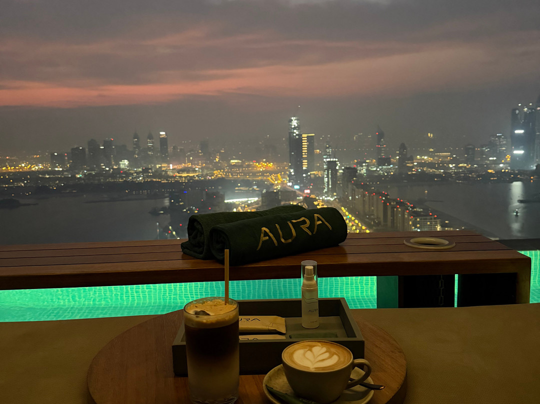 AURA SKYPOOL-迪拜必去景点