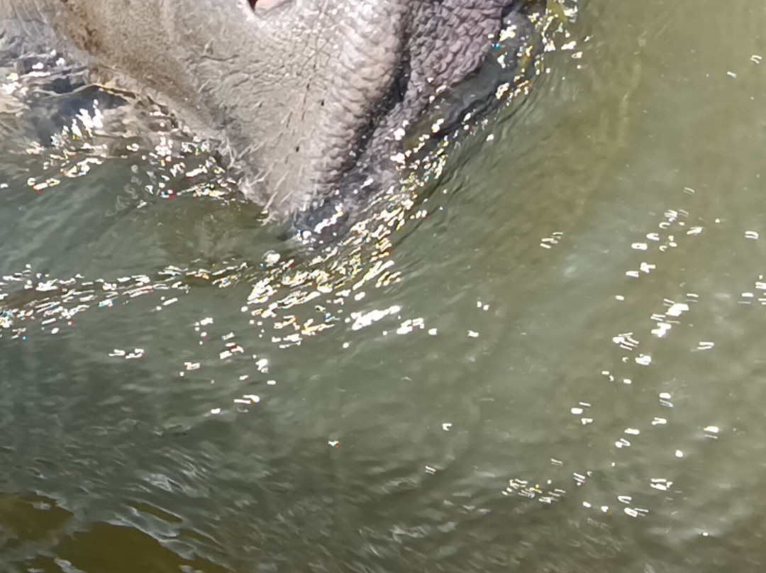 Rota do Peixe-Boi-Marinho-Estancia必去景点