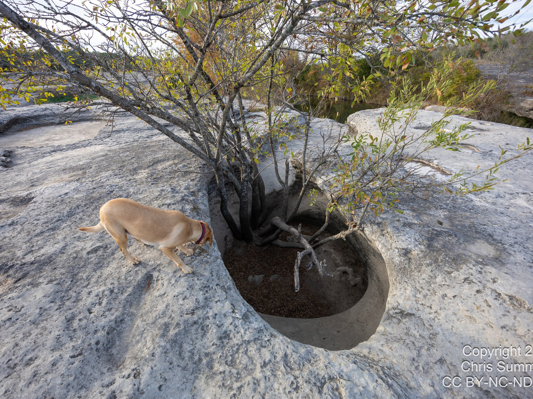 McKinney Falls State Park-奥斯丁必去景点
