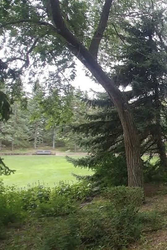 Kiwanis Waterfall Park-里贾纳必去景点