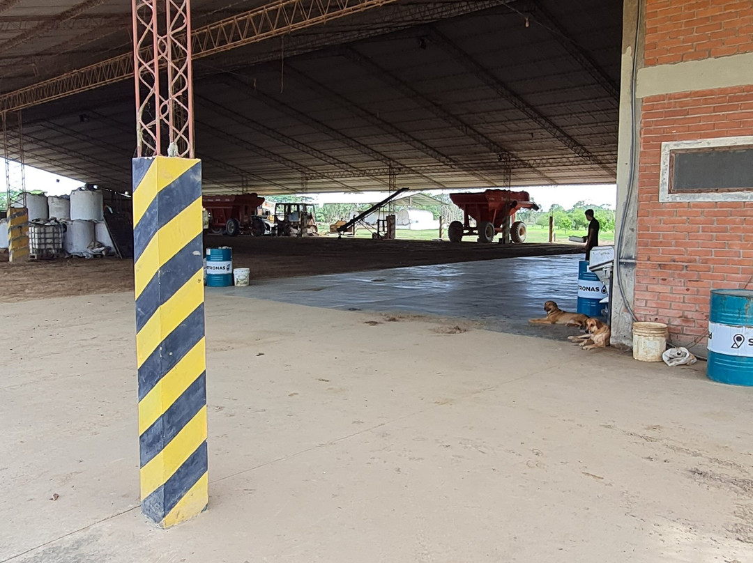 Nick's Adventures Bolivia-圣克鲁斯省必去景点