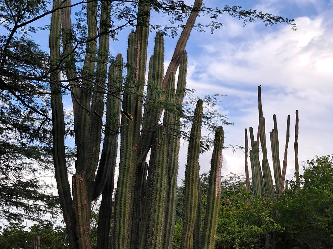 Ayo Rock Formations-奥腊涅斯塔德必去景点
