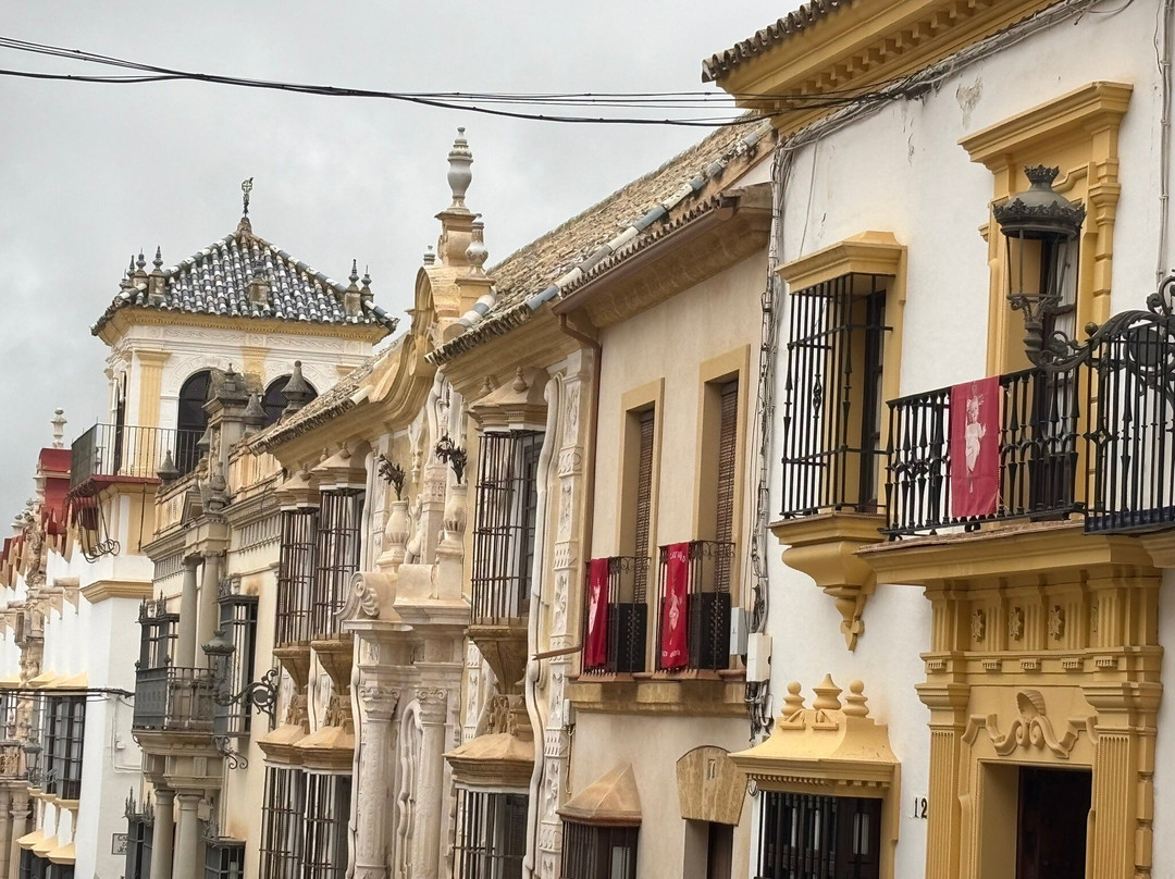 Calle San Pedro-Osuna必去景点