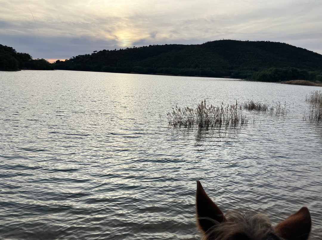 Aventure cheval. Randonnées à cheval-La Crau必去景点