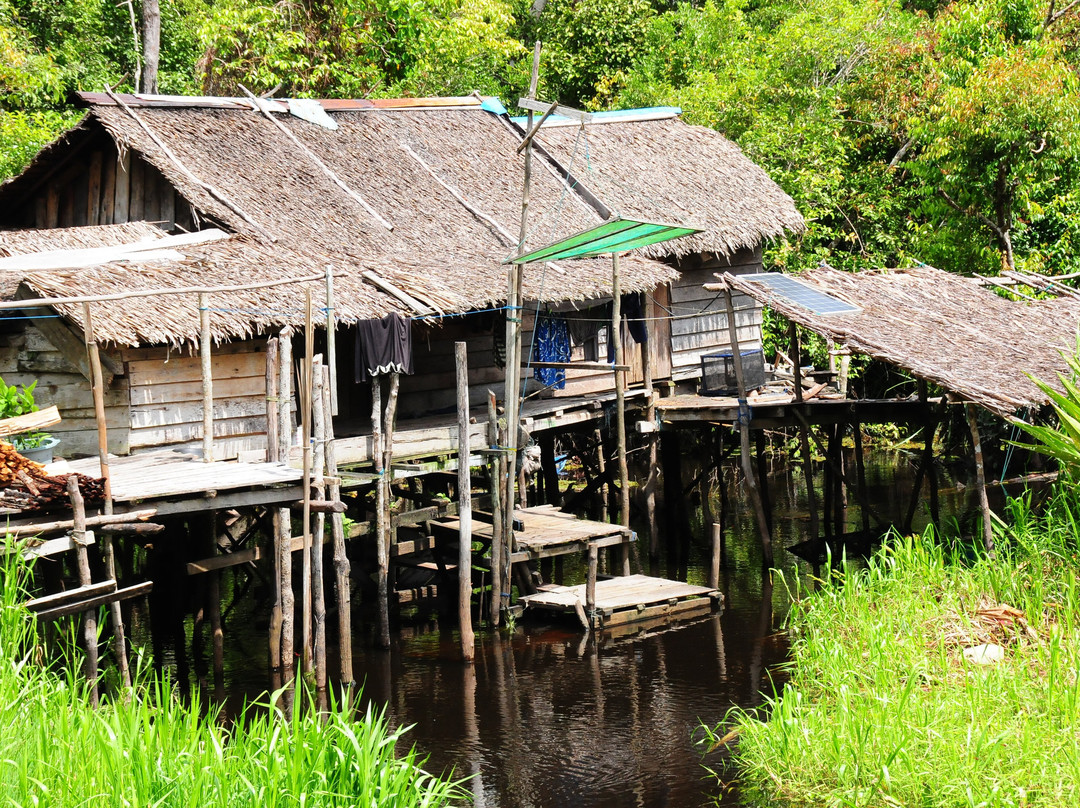 Local Guides - Tanjung Puting-Pangkalan Bun必去景点
