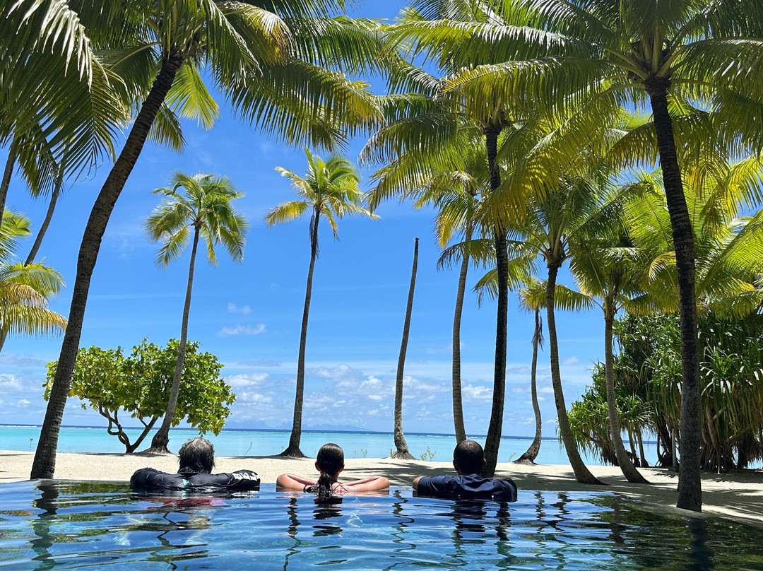 白兰度山林小屋主图